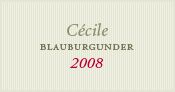 Pinot Noir "Cecile" 2007 ,Br�ndlmayer - Intensives Granatrot, angenehmer Duft nach Waldbeeren und D�rrzwetschken auch Schwarzkirsche; trocken mit Beeren- und Kirschfrucht, sanftes Tannin, leichte R�stnote, saftig, elegant und ausgewogen, langer sanfter Nachkla...
