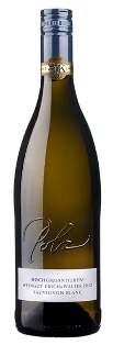 Sauvignon Blanc "Hochgrassnitzberg" Grosse STK-Lage 2008, Polz