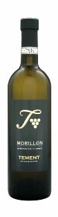 Morillon Steinberg 2010,Tement