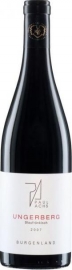 Blaufr�nkisch Ungerberg 2009, Paul Achs - Tiefes Rubingranat, violette Randaufhellung, in der Nase sehr feine D�rrobstnoten, Gew�rze, Kakao, am Gaumen elegant, feinbl�ttrig unterlegt, sehr harmonisch.