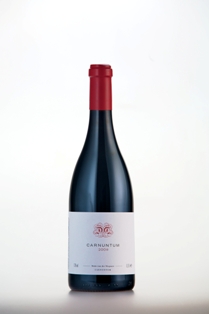 Blaufr�nkisch Carnuntum 2008, Dorli Muhr-van der Niepoort