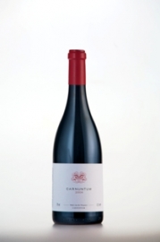 Blaufr�nkisch Carnuntum 2008, Dorli Muhr-van der Niepoort - Mittleres Rubingranat, breitere Randaufhellung. Intensive Brombeerfrucht, zart bl�ttrige W�rze, kandierte Orangenzesten, feine Mineralik. Saftig, frisch, reife Kirschenankl�nge, zitronige Nuancen, lebendige S�urestruktur...