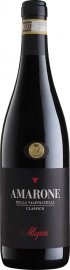 1 Flasche Allegrini Amarone della Valpolicella zum Top 