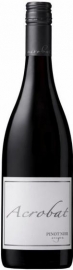 1 Flasche Acrobat Winery Pinot Noir zum Top Preis 